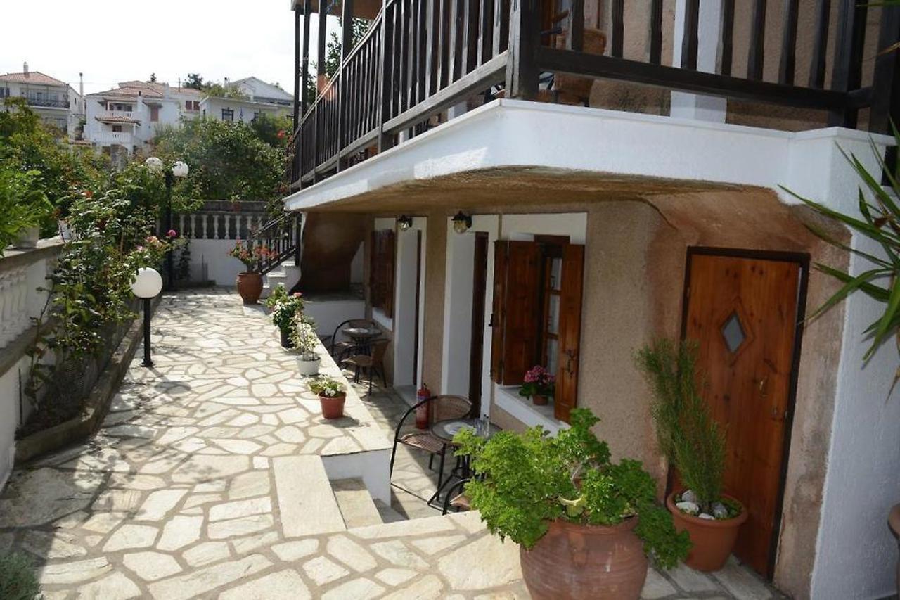 Sofia's Garden