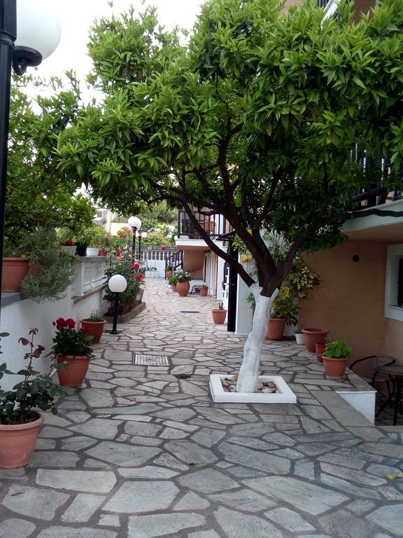 Apartament Sofia's Garden *